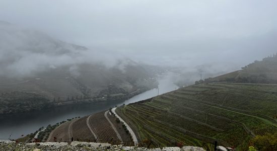 Uitzicht Douro Vallei