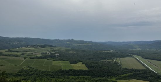 Uitzicht wijnvelden Kroatië