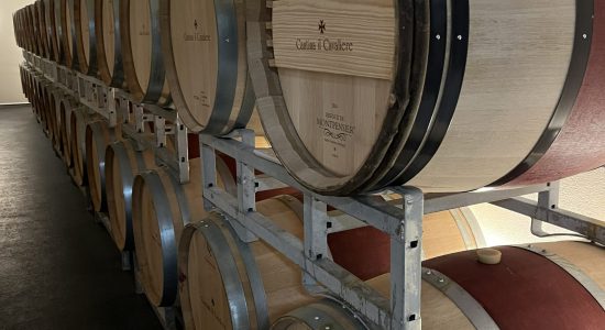 Wijnmaker, barrels Ticino